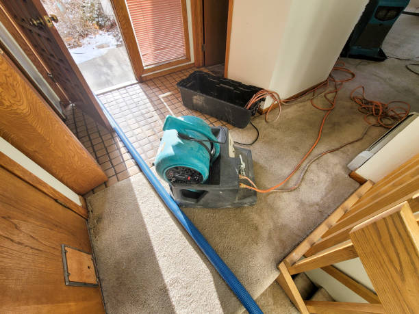Trusted Scissors, TX Water damage restoration Experts