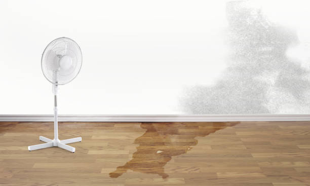 Best Commercial water damage restoration  in Scissors, TX