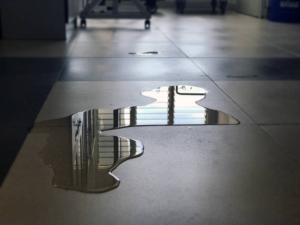 Best 24-hour water damage restoration  in Scissors, TX
